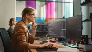 Application Developer
